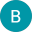 Brandi S